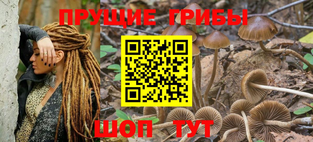 Псилоцибиновые грибы MAGIC MUSHROOMS Туапсе