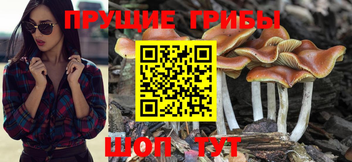 Бошки Шишки  Кокаин  Туапсе  Гашиш  ГАШ  Вход с VPN  Меф МЯУ МЯУ кристаллы  Лсд 25 