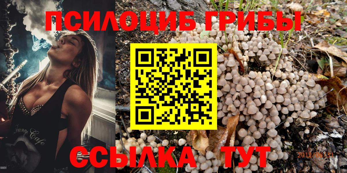 Псилоцибиновые грибы GOLDEN TEACHER  Псилоцибиновые грибы MAGIC MUSHROOMS  Вход с VPN  Туапсе 
